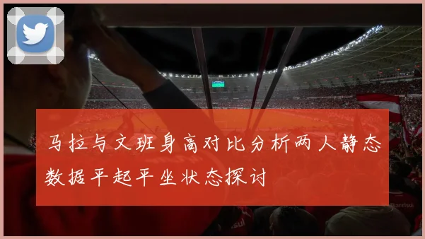 马拉与文班身高对比分析两人静态数据平起平坐状态探讨