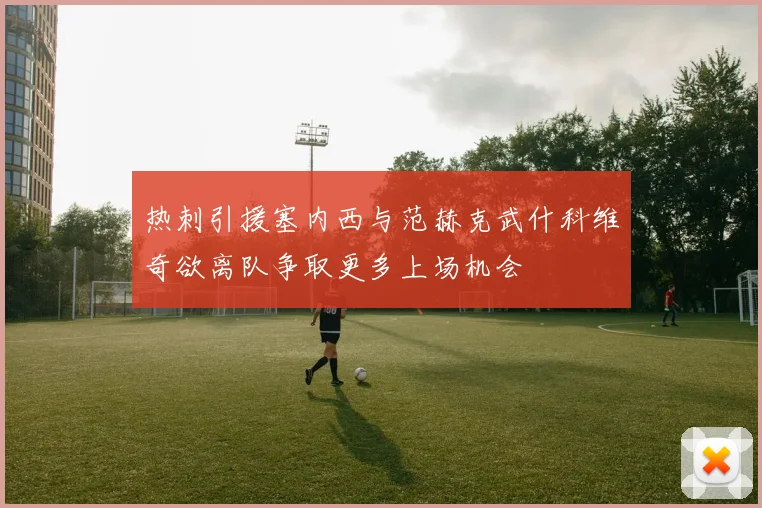 热刺引援塞内西与范赫克武什科维奇欲离队争取更多上场机会